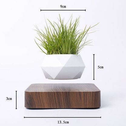 Magnetic Levitation Polygonal Planter – Wood Grain Base