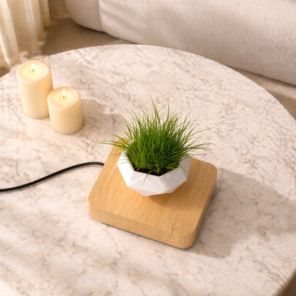 Magnetic Levitation Polygonal Planter – Wood Grain Base