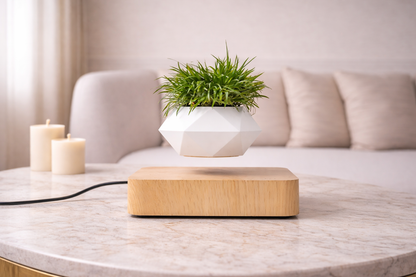 Magnetic Levitation Polygonal Planter – Wood Grain Base