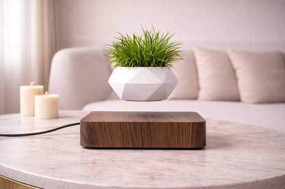 Magnetic Levitation Polygonal Planter – Wood Grain Base